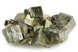 Gleaming Cubic Pyrite Crystal Cluster - Peru #350810-1